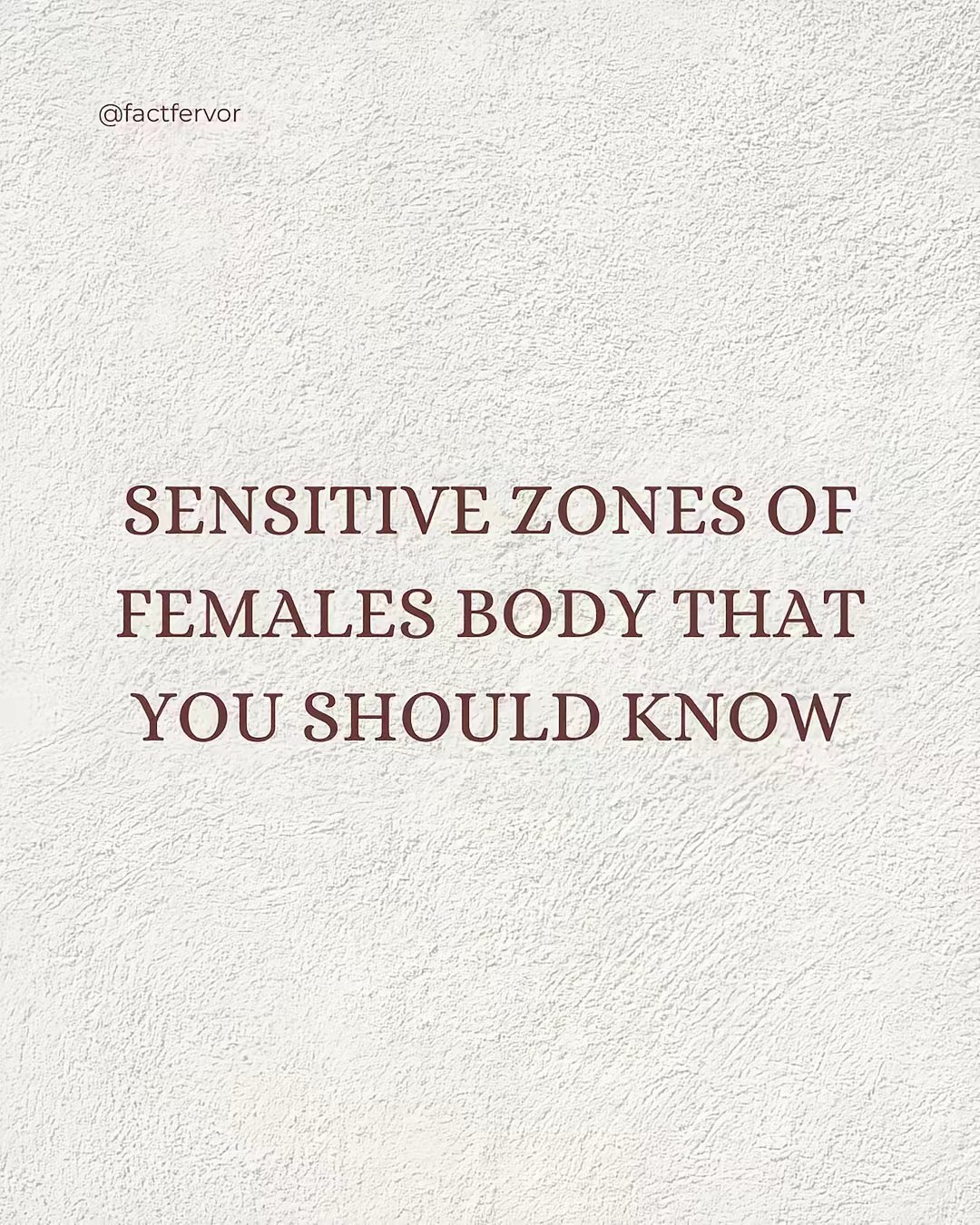 Reelfarm — screenshot 4 showing tool features and UI